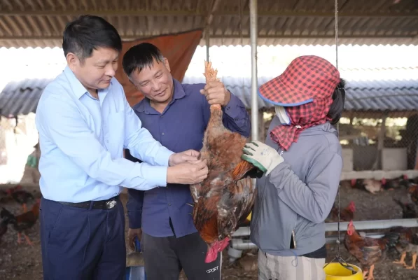 Ông Lâm Văn Minh, Chủ tịch Hội Nông dân xã Kiên Lao (bìa trái) và vợ chồng anh Nguyễn Văn Thành tại trang trại gà