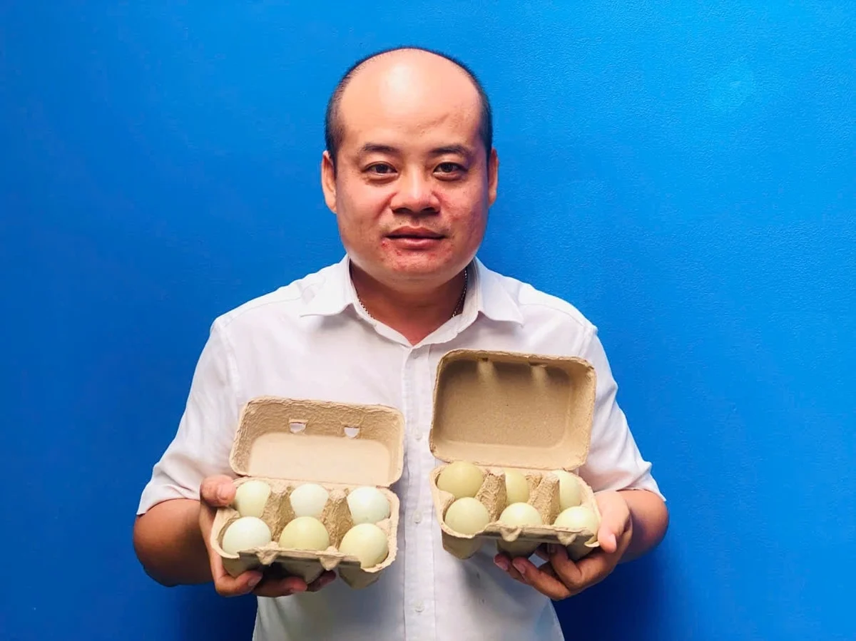 Thành phẩm nuôi gà Araucana đẻ trứng của anh Đặng Thanh Việt