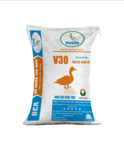 V 30 - Thức ăn hỗn hợp cho Vịt - Ngan đẻ