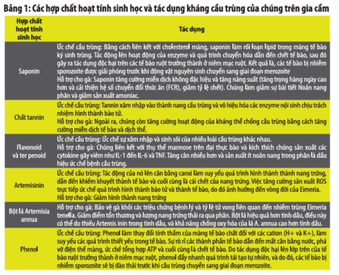 Các chất hóa học thực vật là một công cụ hoàn hảo để bổ sung cho các chương trình kiểm soát bệnh cầu trùng