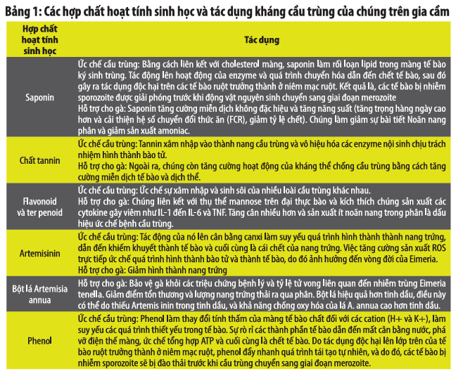 Các chất hóa học thực vật là một công cụ hoàn hảo để bổ sung cho các chương trình kiểm soát bệnh cầu trùng