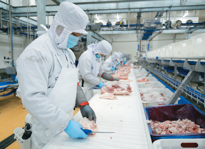 Chế biến thịt tại Nhà máy tại tỉnh Ninh Bình