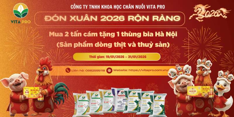 Vita Pro triển khai chương trình Đón Xuân 2026