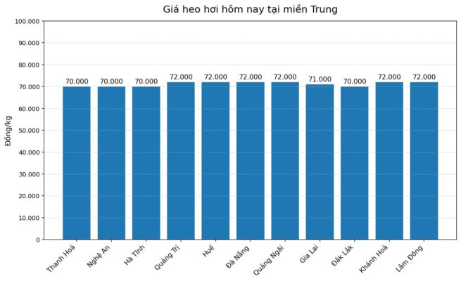 Giá heo hơi hôm nay 25.2 tại miền Trung
