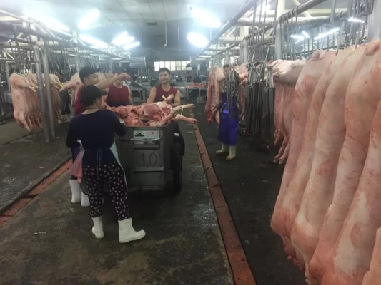 Giá heo tại chợ đầu mối ở TP HCM giảm về như ngày thường