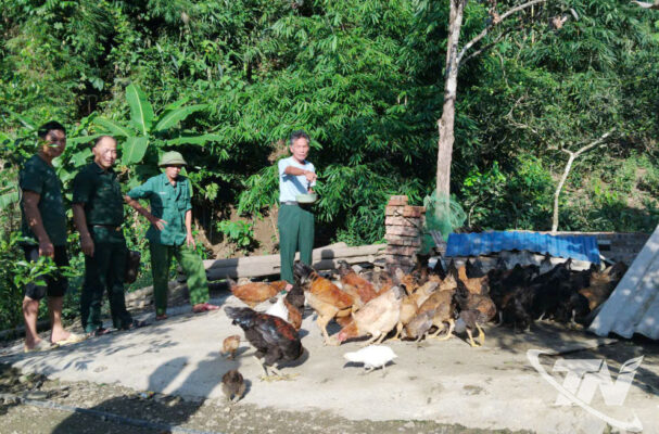 Mô hình nuôi gà đen thả đồi của ông Nguyễn Trọng Lạc (bên phải), thôn Nà Đán, xã Phong Quang, mang lại hiệu quả kinh tế ổn định cho gia đình