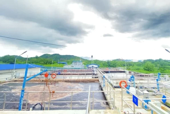 Các cơ sở chăn nuôi công nghệ cao quy mô lớn được đầu tư hệ thống xử lý nước thải, đảm bảo môi trường