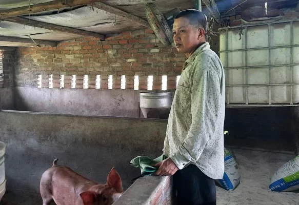 Gia đình ông Đỗ Đình Tuấn thực hiện tái đàn mạnh mẽ sau Tết