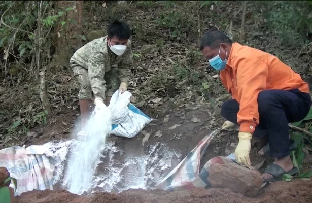 Lực lượng thú y và cán bộ địa phương tiêu độc, khử trùng khu vực tiêu hủy lợn mắc Dịch tả lợn châu Phi nhằm ngăn chặn nguy cơ lây lan dịch bệnh