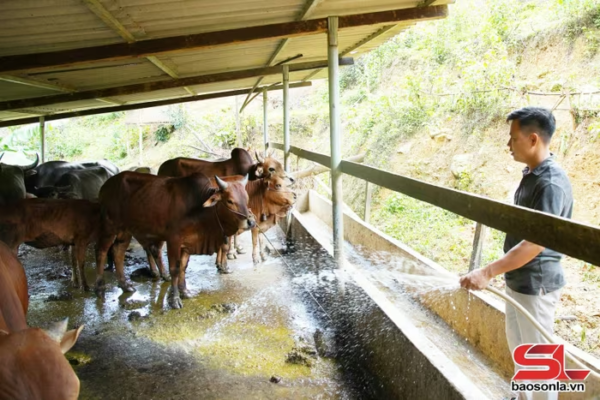 Nông dân xã Mường Bang vệ sinh chuồng nuôi gia súc