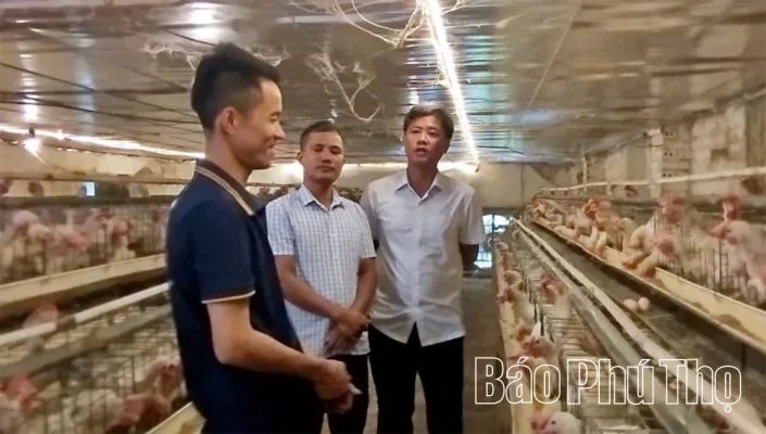 Trang trại sản xuất trứng gà thảo dược của gia đình anh Phan Kim Hùng, xã Hùng Việt đã thay thế hệ thống bóng đèn chiếu sáng sợi đốt bằng hệ thống đèn led, góp phần giảm chi phí và tiết kiệm năng lượng, tăng hiệu quả kinh tế