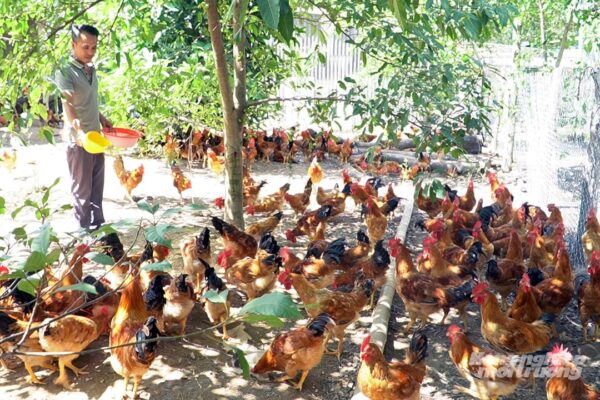 Với rất nhiều điểm sáng